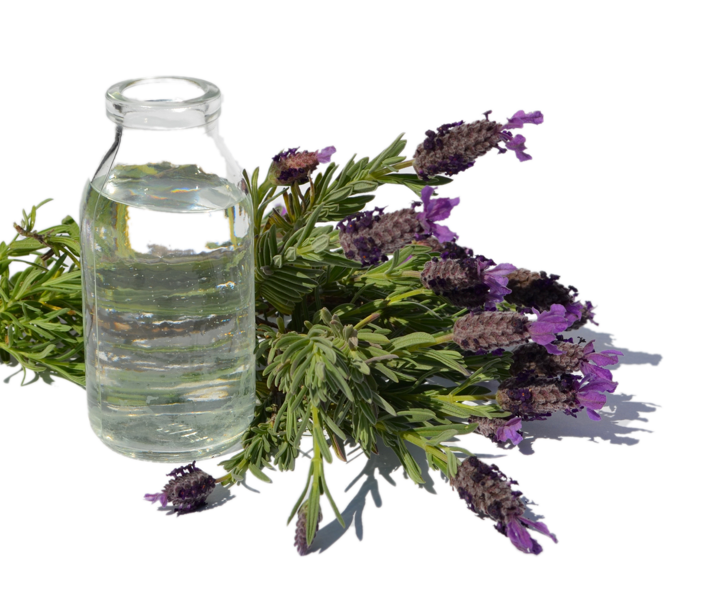 Lavender Water Range Products