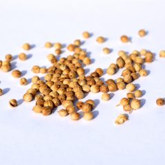 Coriander Seed | Range Products