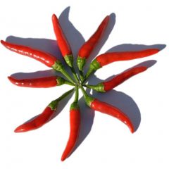 Chili Cut | Range Products