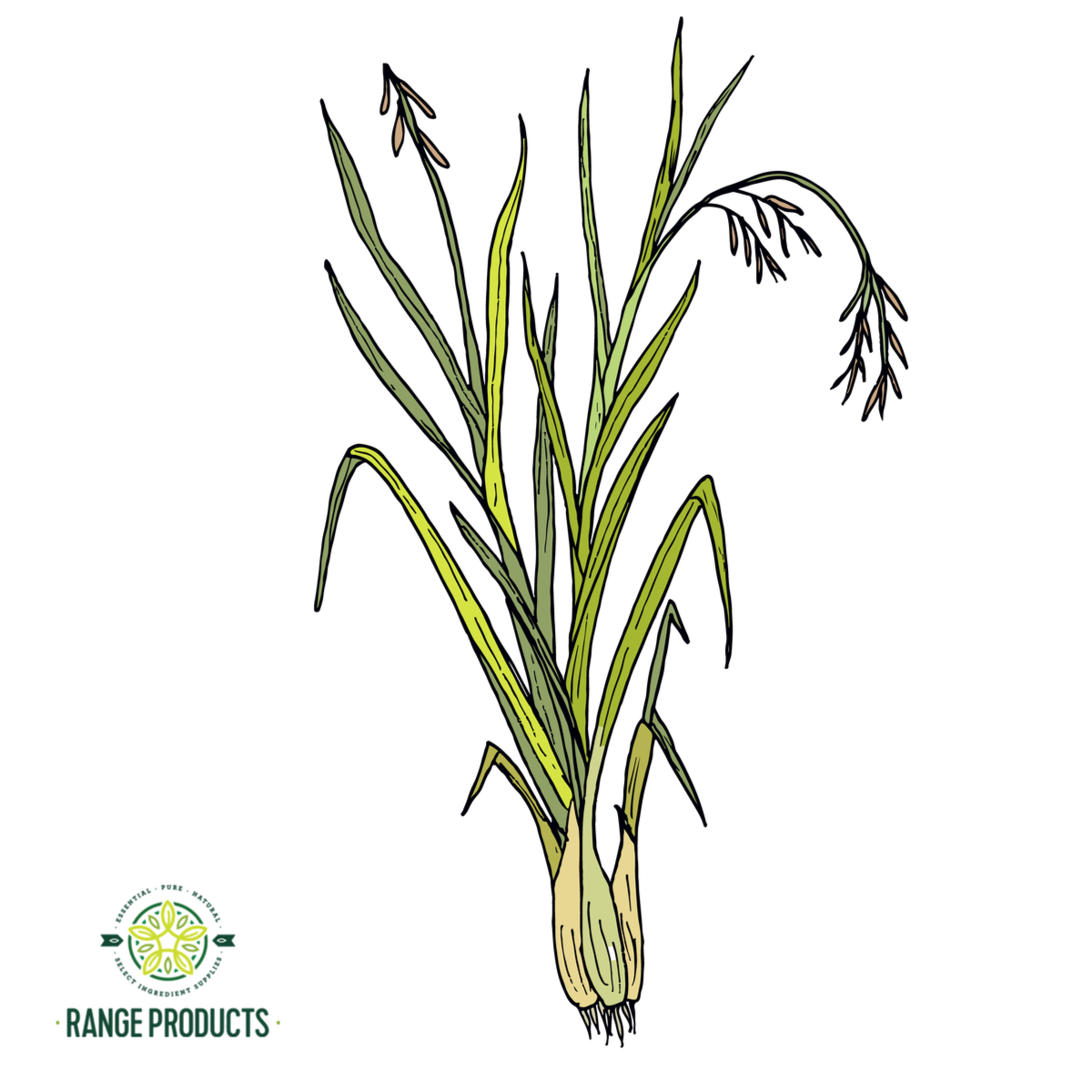 Palmarosa Essential Oil Suppliers in Perth Range Products