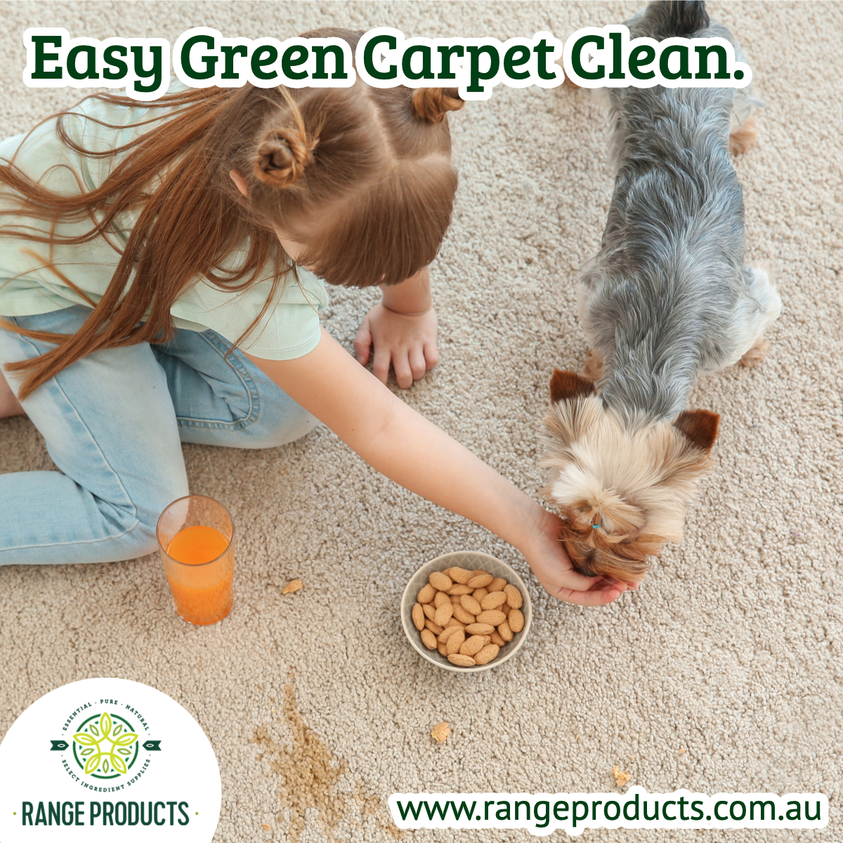 Easy Green Carpet Clean Range Products