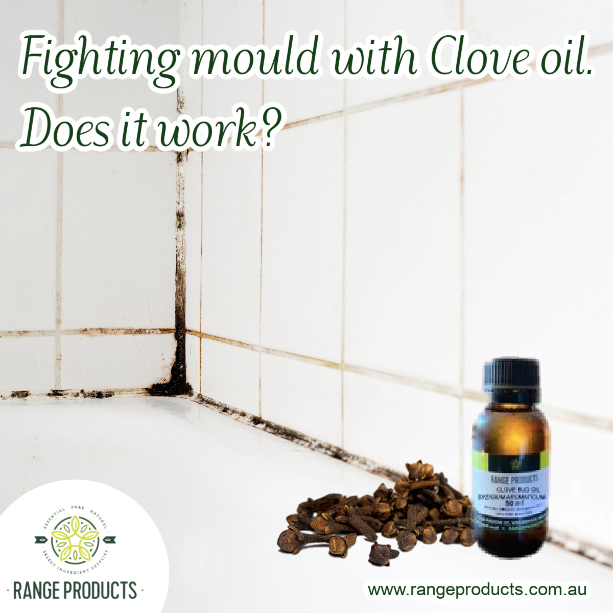 Fighting mould with Clove oil Range Products