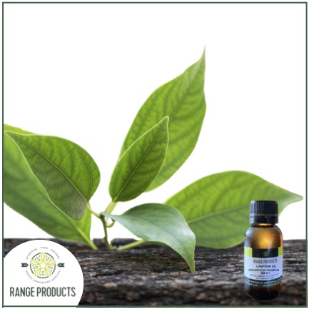 Camphor Essential Oil