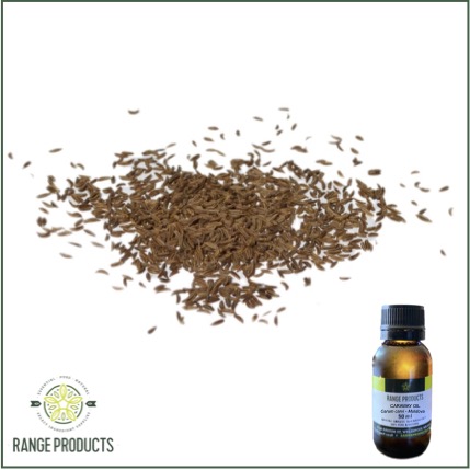 Caraway Essential Oil