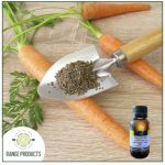 Carrot Seed Essential Oil