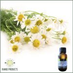 Chamomile German Essential Oil