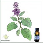 Clary Sage Essential Oil