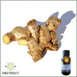 Ginger Essential Oil