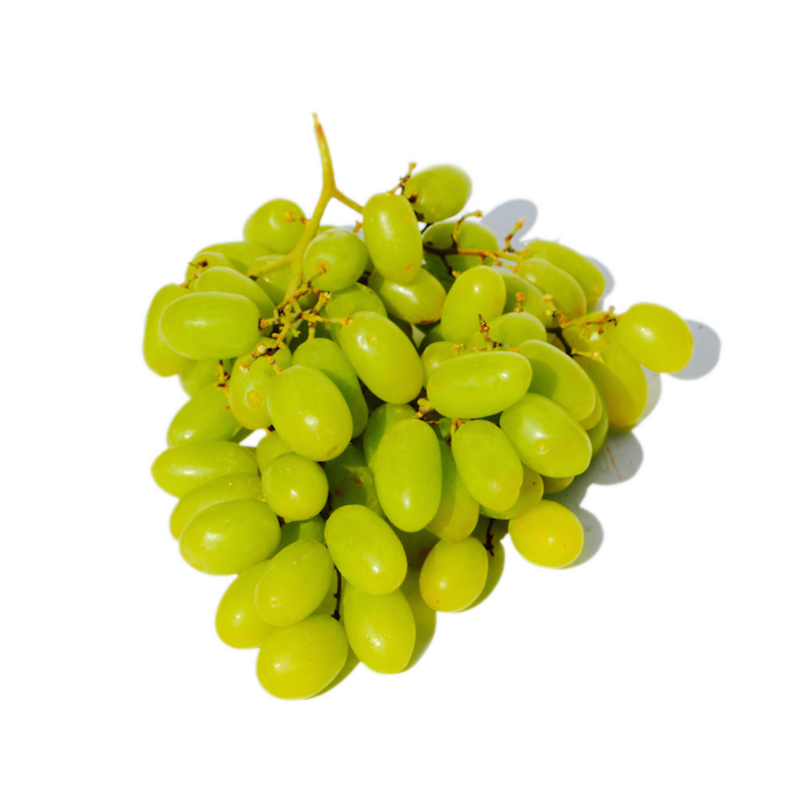 Grapeseed.png