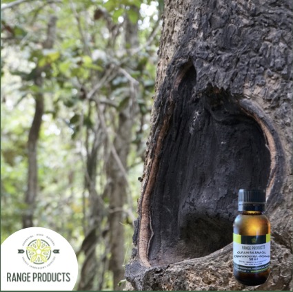 Balsam oil shop