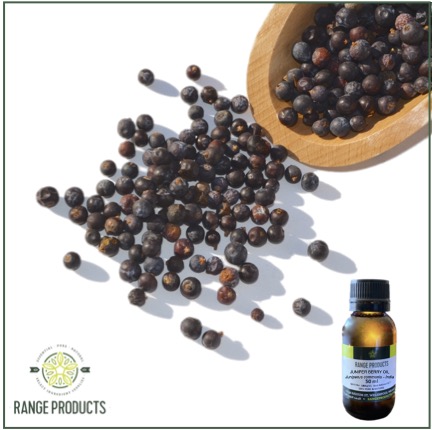 Juniper Berry Essential Oil