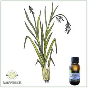 Palmarosa Essential oil