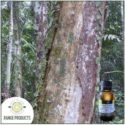 Rosewood Essential Oil