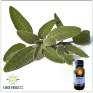 Spanish Sage Essential Oil