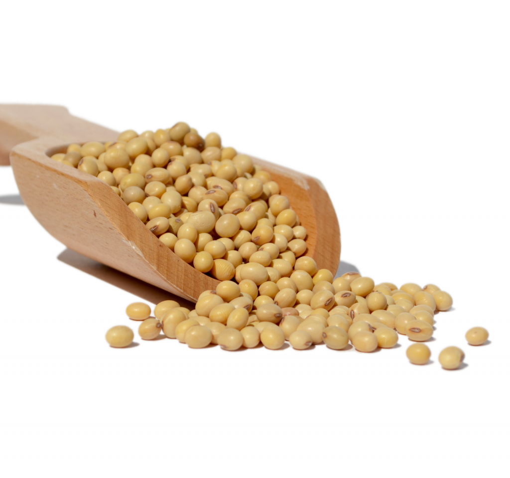 Soya Bean Oil Australia Wholesale Suppliers Bulk Soy Bean Oil