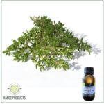 Thyme Essential Oil