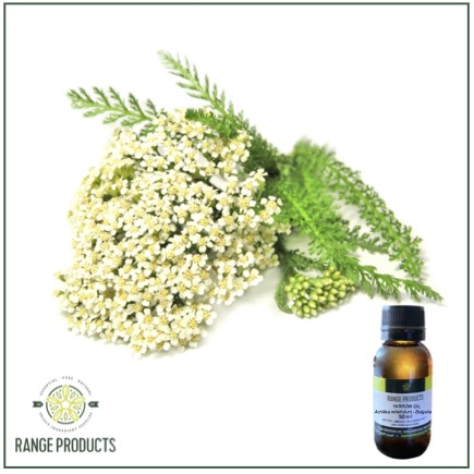 Yarrow Essential Oil