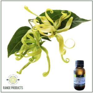 Ylang Ylang 1 Essential Oil