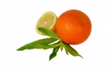 citrus-mint-e1443057803658.jpg