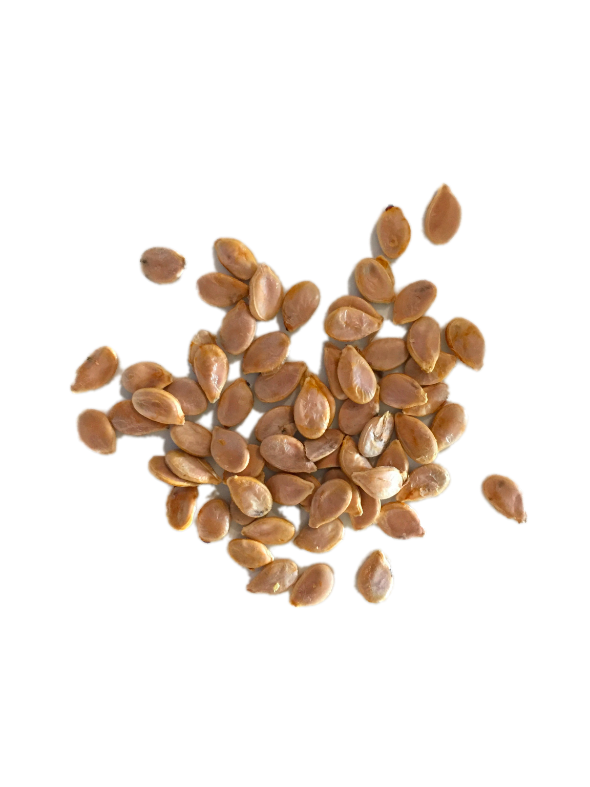 Pumpkin Seed Oil Recipes Savory