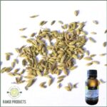 Fennel Sweet Essential Oil