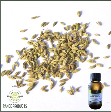 Fennel Sweet Essential Oil