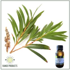 Tea Tree Essential Oil