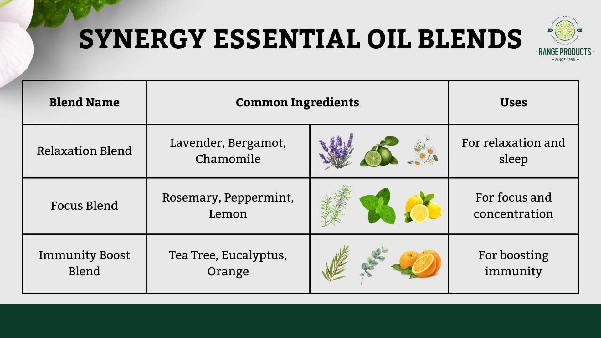 synergy essential oil blends