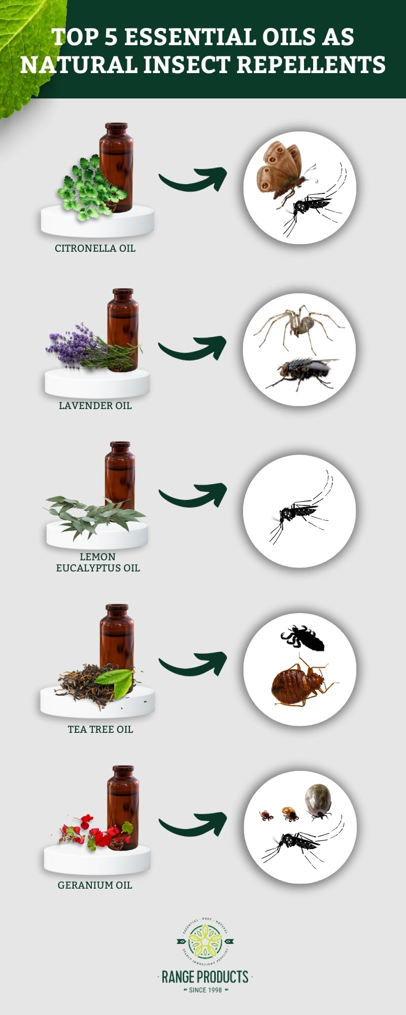 5 effective essential oils as natural insect repellents