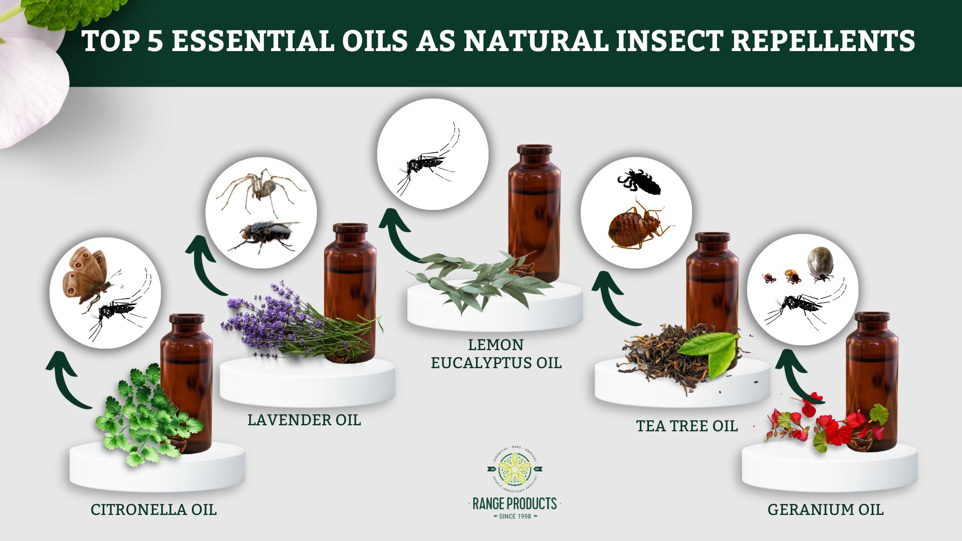 top 5 essential oils as natural insect repellents