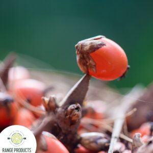 batana (ojon) virgin oil