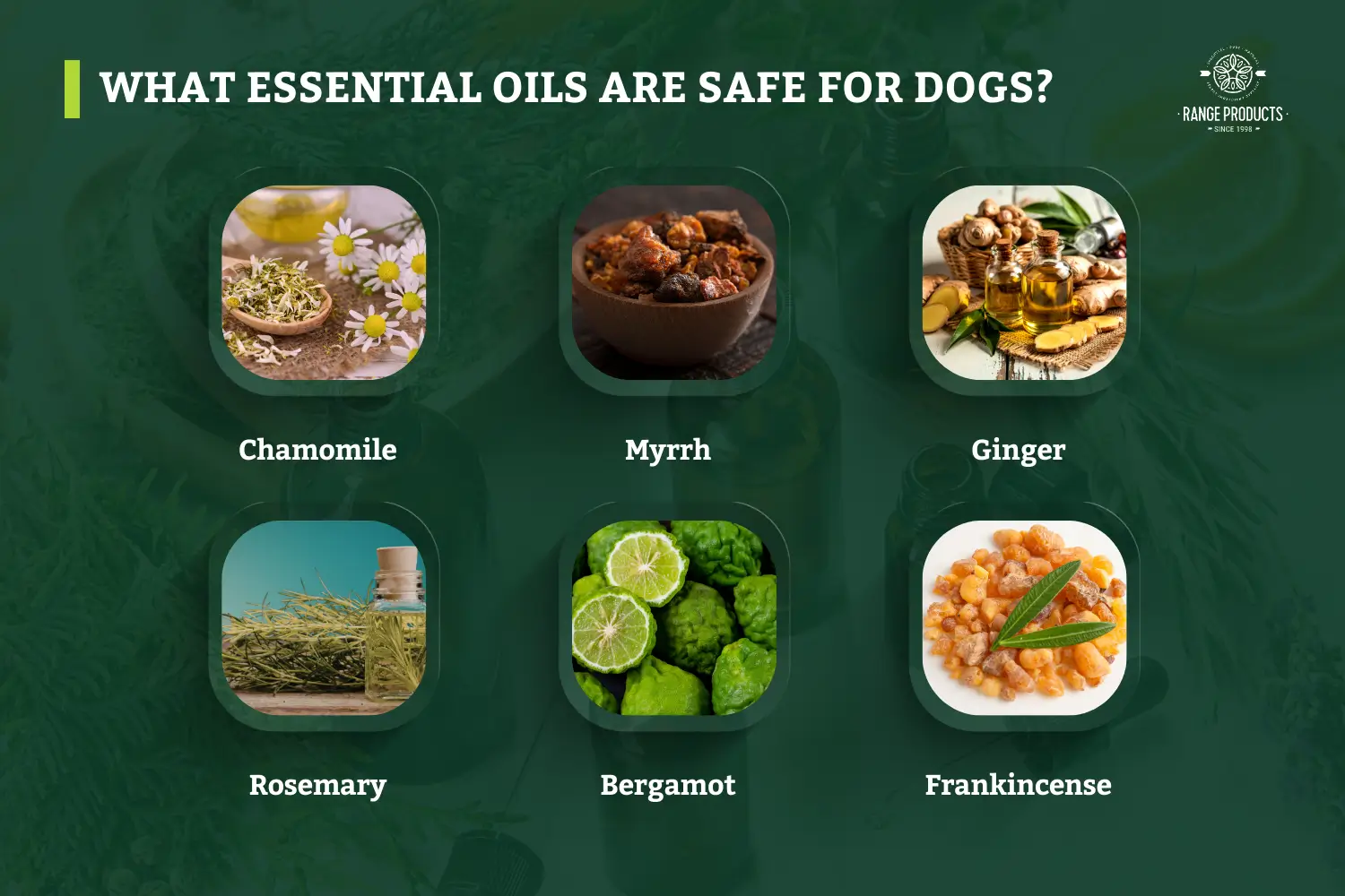 what essential oils are safe for dogs