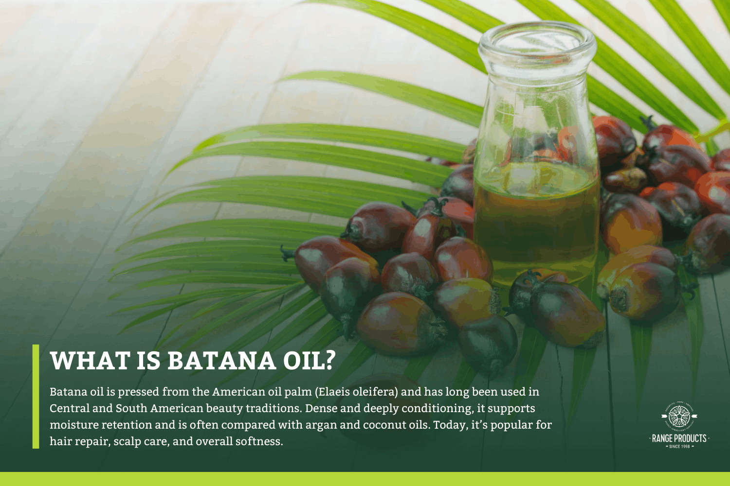what is batana oil